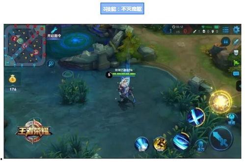 王者大爆料修哥视频大全,修哥视频大全精彩内容抢先看